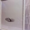 Rock Still Life — Graphite on Paper