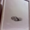 Rock Still Life — Graphite on Paper